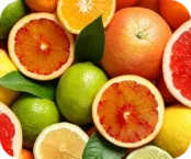 Cultura para Frutas Citrus Cultura para Frutas Citrus