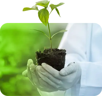 tecnologia andermatt planta tecnologia andermatt planta