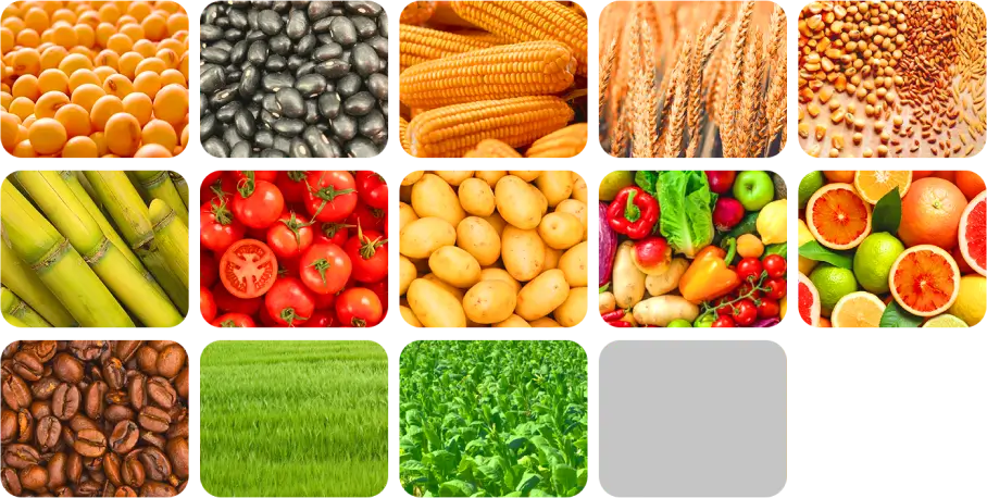 pelo tipo de cultura saiba quais são os produtos de indução vegetal mais indicados para aumentar sua produtividade. pelo tipo de cultura saiba quais são os produtos de indução vegetal mais indicados para aumentar sua produtividade.