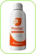 Phosbac®- Adubação Maximizada, Colheita Produtiva! Phosbac®- Adubação Maximizada, Colheita Produtiva!