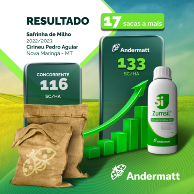 Card_Resultados_Zumsil_03 Card_Resultados_Zumsil_03