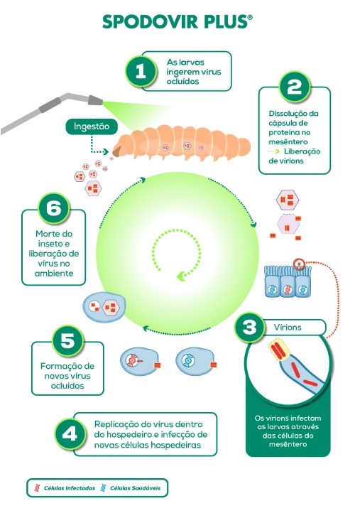 spodovir-plus-como-funciona