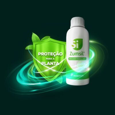 zumsil-andermatt-brasil zumsil-andermatt-brasil